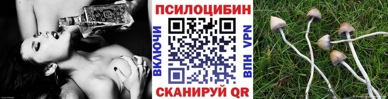 Галлюциногенные грибы GOLDEN TEACHER  Облучье 